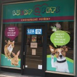 Pet shop